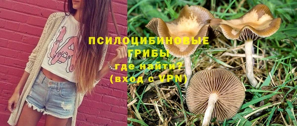 винт Аркадак
