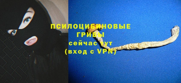 спиды Армянск