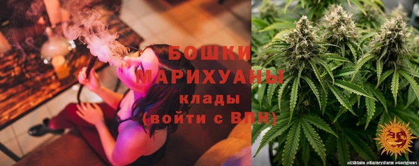 винт Аркадак