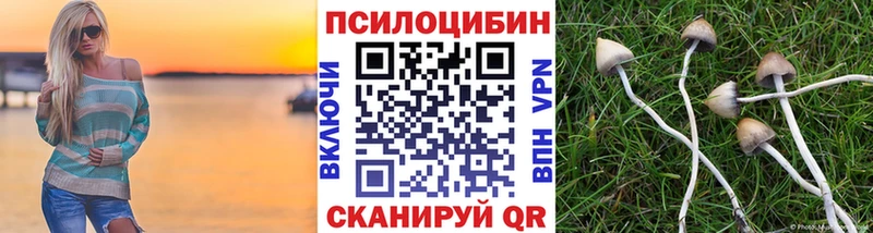 Псилоцибиновые грибы Cubensis Опочка